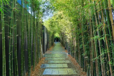Villoft Zen Living Resort – Foto 15
